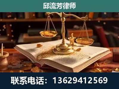 高平-新型网络犯罪